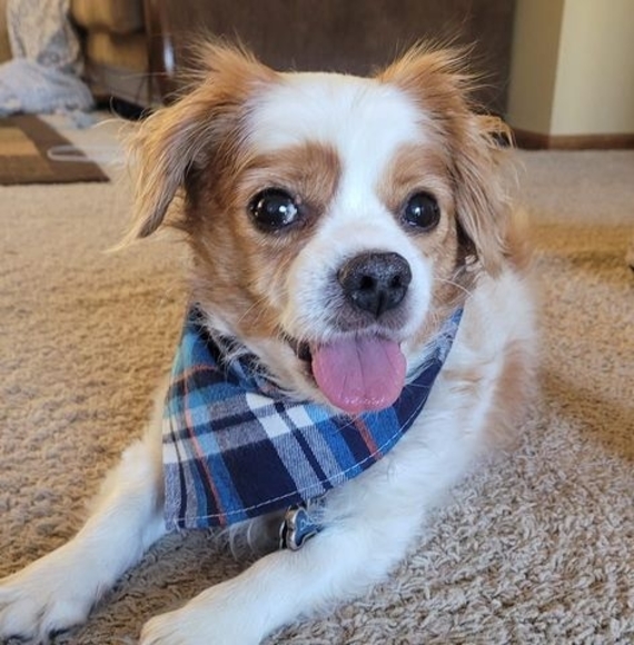 Meet your Posher, Naomi - Picture 1 of 1